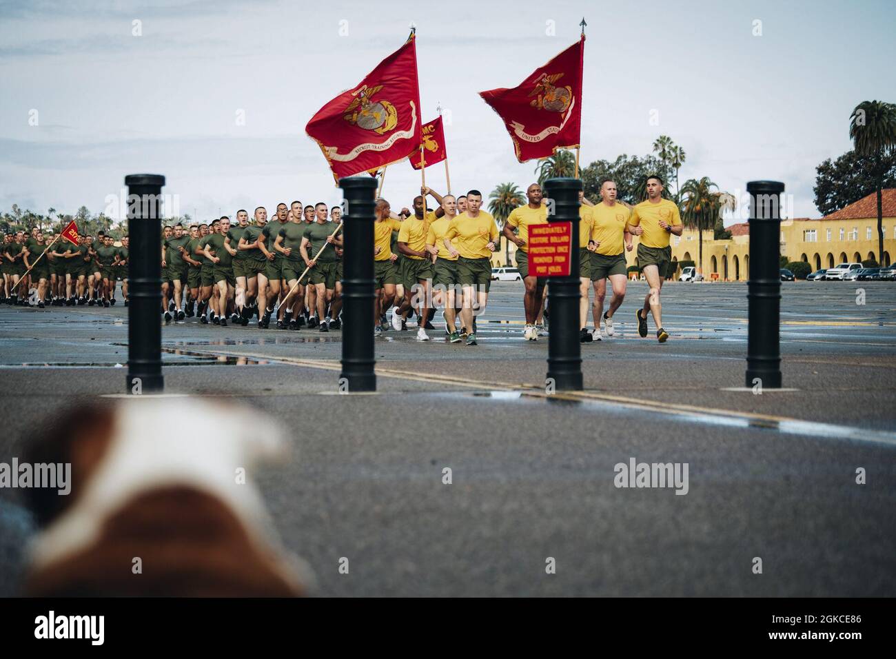 Caporal de lance du corps des Marines des États-Unis Manny, la mascotte de recrutement de Marine corps San Diego, participe à la course motivationnelle de la compagnie hôtelière au dépôt, le 11 mars 2021.'anny' est nommé en l'honneur du Sgt. Johnny R. Manuelito Sr., l'un des "29 originaux" Navajo Code Talkers qui a formé dans le premier tout Navajo peloton ici sur le dépôt en 1942. Manuelito a aidé à créer le code que les Navajos ont développé à Camp Elliot, maintenant Marine corps Air Station Miramar. Il est devenu instructeur, enseignant d'autres Navajo Marines le code. Banque D'Images