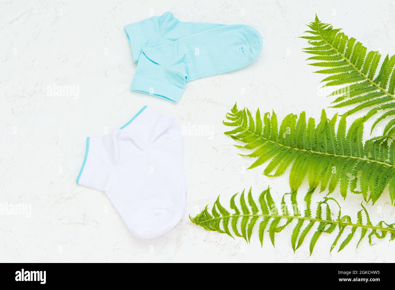 Chaussettes blanches et bleues avec feuilles de fougères sur fond blanc structuré, vue du dessus. Banque D'Images