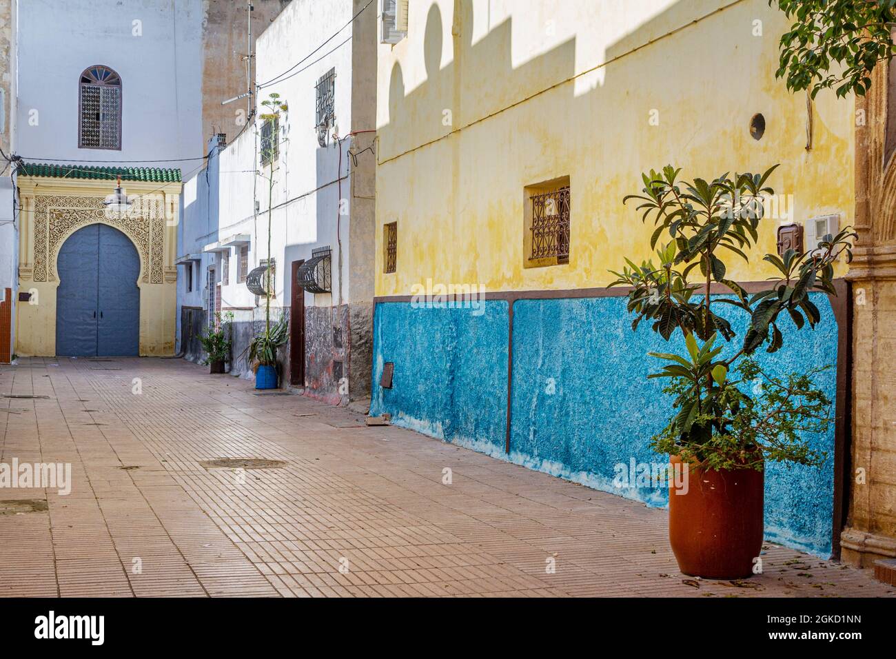 Ruelle dans la ville de Rabat avec une plante dans un tambour, des murs de couleur pâle et une porte arabe grise et jaune dans le fond typique du Maroc Banque D'Images