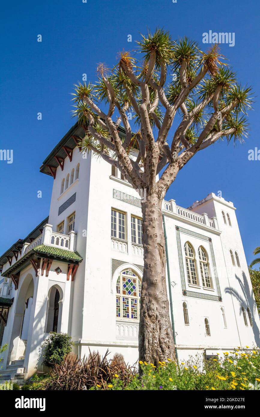 Ancien bâtiment dans la ville de Tanger, au premier plan un palmier Banque D'Images