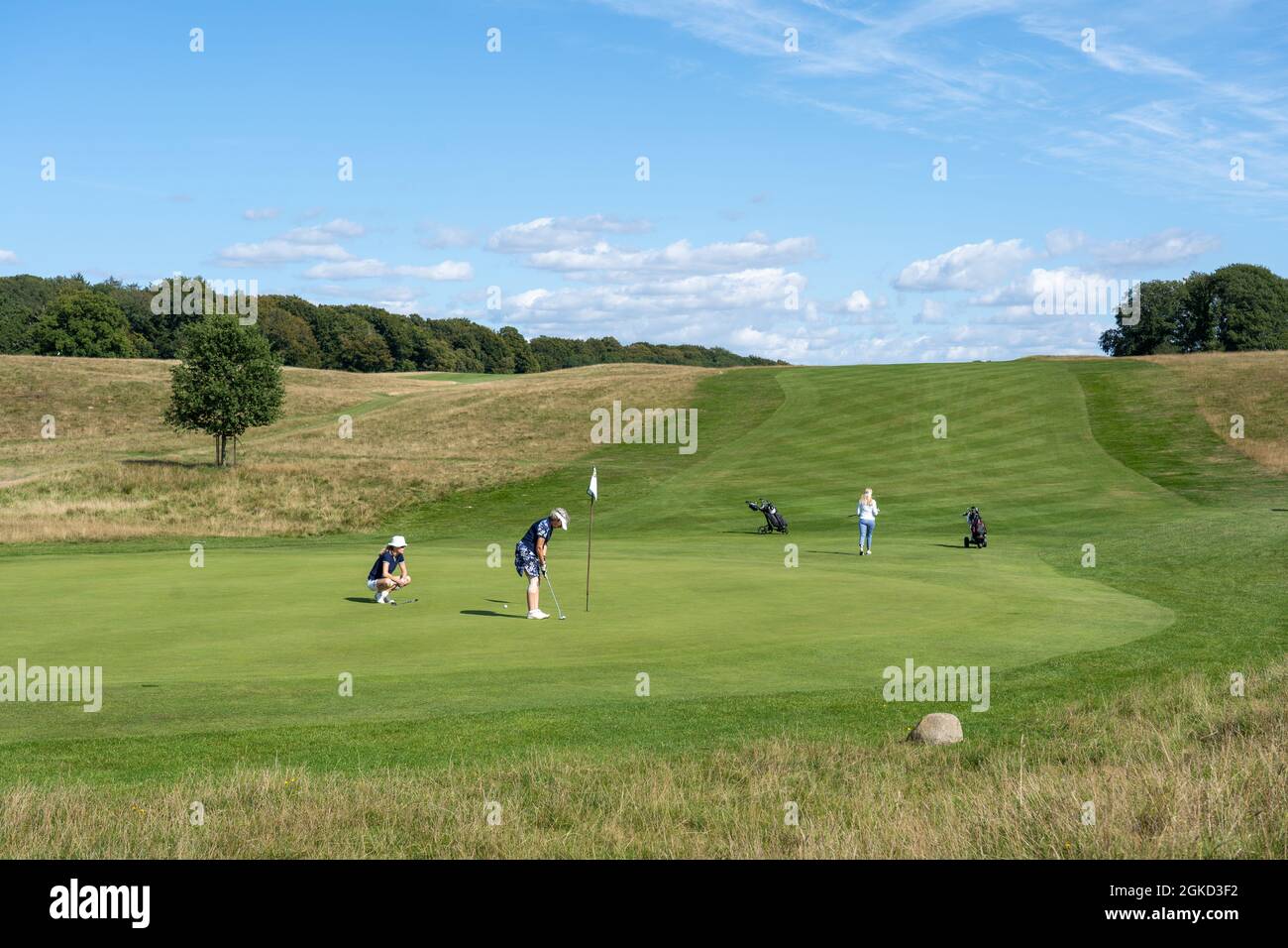 Parcours de golf à Jaegersborg Deer Park, Copenhague Banque D'Images