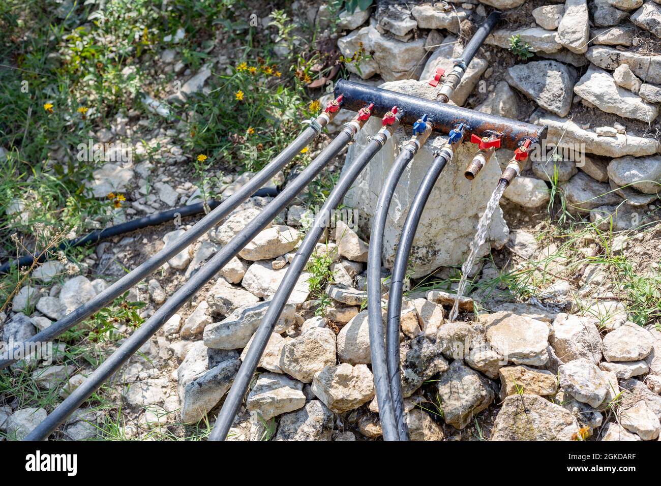 Invention faite maison du dispositif d'arrosage. Arrosage du jardin à l'aide de tuyaux en caoutchouc combinés dans un système d'irrigation. Agriculture, jardinage, prendre soin Banque D'Images