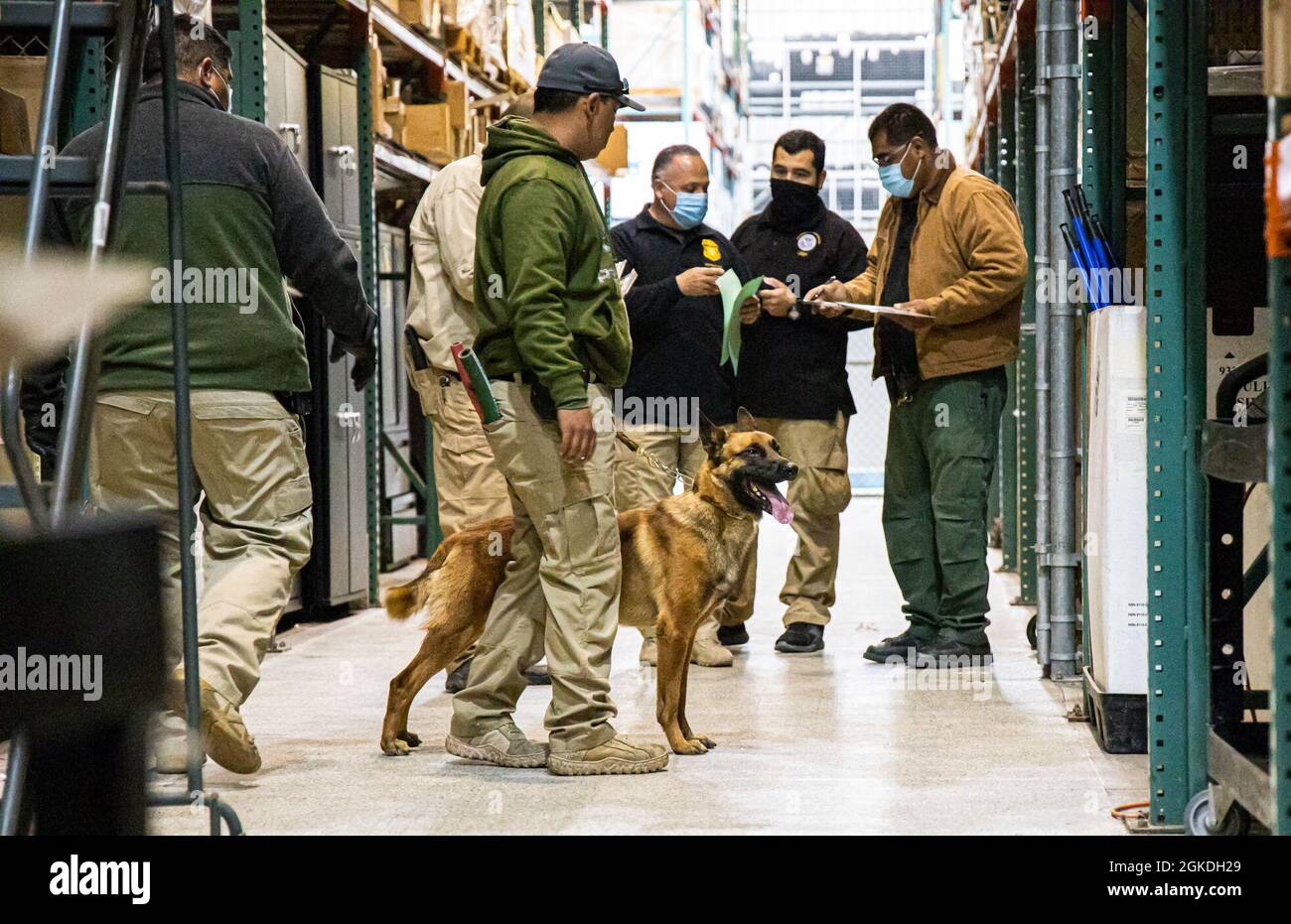 SAN DIEGO, Californie, (mars 22, 2021) patrouille des douanes et de la protection des frontières des États-Unis les agents K-9 effectuent une formation sur la détection des stupéfiants organisée par le Maritime Expeditionary Security Group (MESG) 1 unité d'évaluation de la formation. La Force expéditionnaire maritime est une capacité de base de la Marine qui assure la sécurité portuaire et portuaire, la sécurité des biens de grande valeur et la sécurité maritime dans les voies navigables côtières et intérieures. Banque D'Images