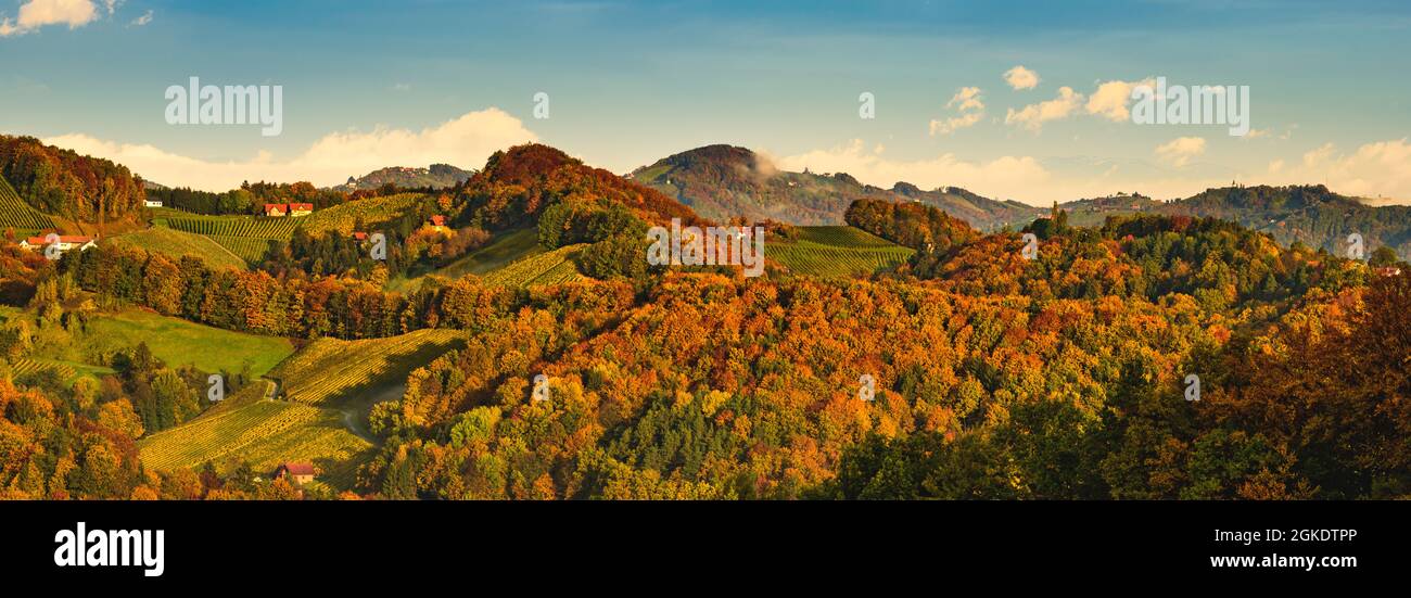 Vignobles de styrie du Sud, Toscane d'Autriche. Lever du soleil en automne. Banque D'Images