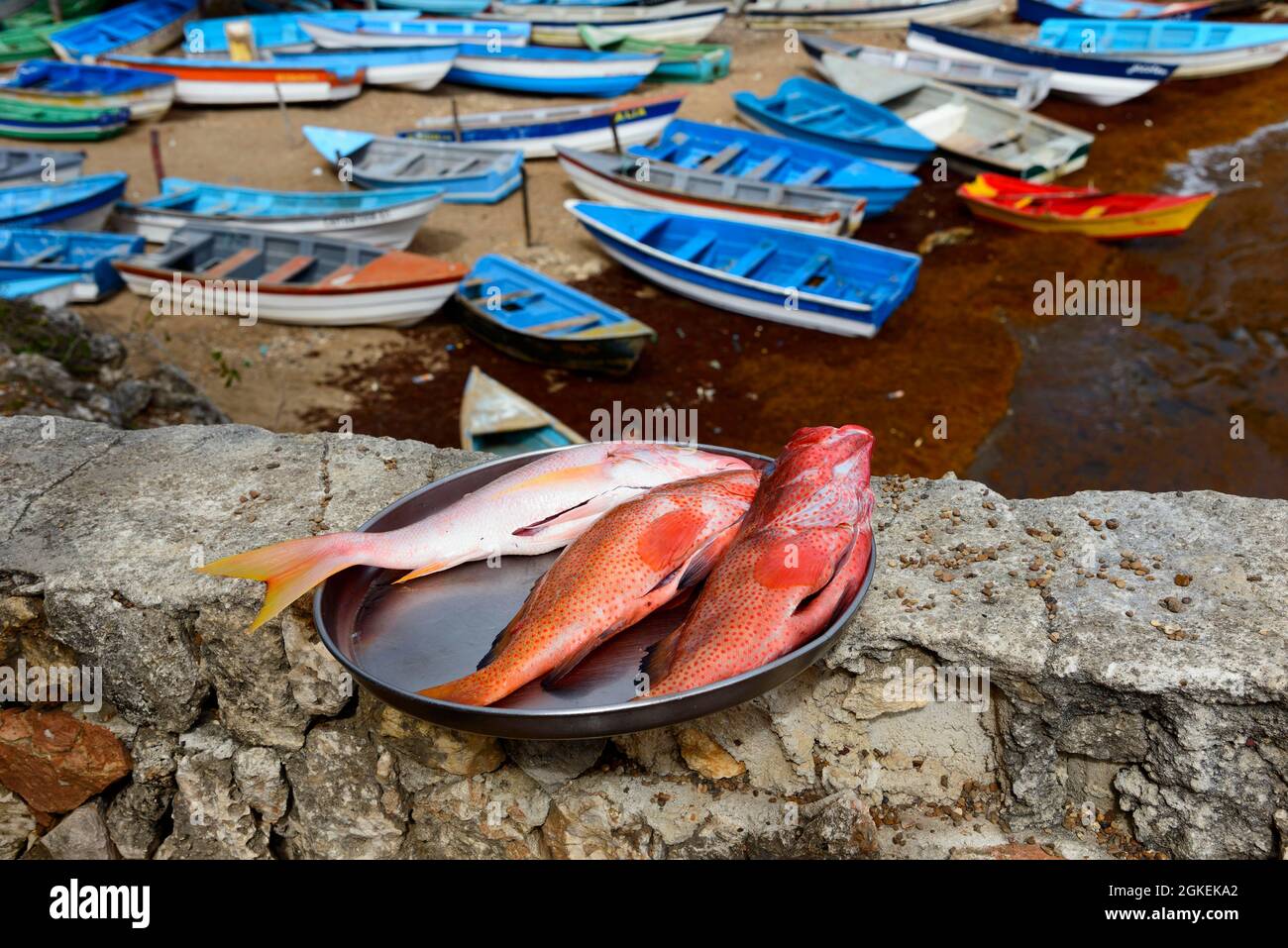 Poisson à vendre, Port, Boca de Yuma, Caraïbes, Amérique, République dominicaine Banque D'Images