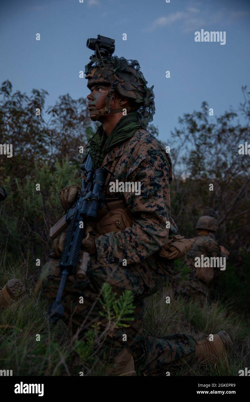 Une marine américaine avec Alpha Company, bataillon d'instruction d'infanterie, School of Infantry - West, s'agenouille lors d'une patrouille de nuit dans le cadre de la dixième semaine du cours de Marine d'infanterie sur le camp de base du corps de Marine Pendleton, Californie, le 1er avril 2021. IMC est un cours pilote de 14 semaines conçu pour créer des Marines d'infanterie d'entrée de niveau mieux formées et plus létales, préparées pour les conflits entre pairs. Le cours utilise un modèle d'apprentissage repensé pour les élèves, destiné à développer leurs capacités de pensée et d'action indépendantes et adaptatives. Le programme d'instruction pour l'IMC est en cours d'élaboration depuis un an et Banque D'Images