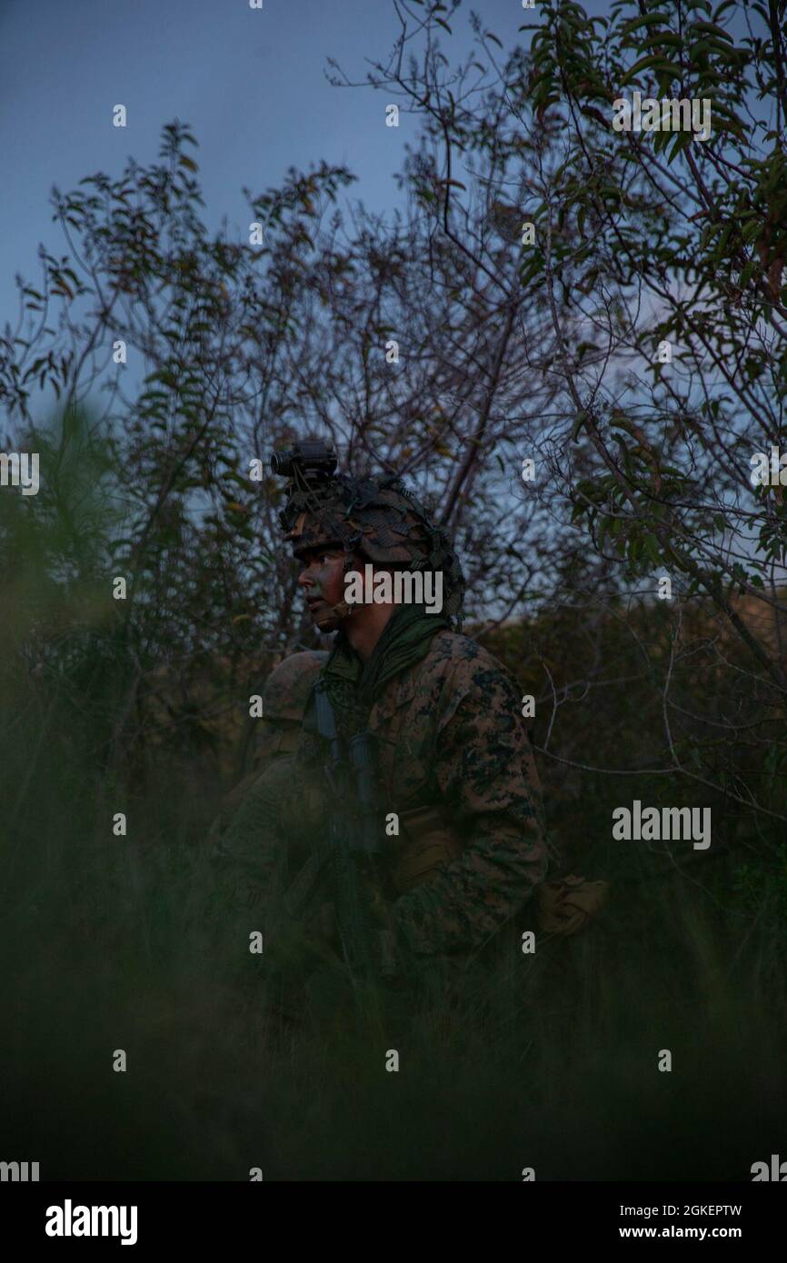 Une marine américaine avec Alpha Company, bataillon d'instruction d'infanterie, School of Infantry - West, s'agenouille lors d'une patrouille de nuit dans le cadre de la dixième semaine du cours de Marine d'infanterie sur le camp de base du corps de Marine Pendleton, Californie, le 1er avril 2021. IMC est un cours pilote de 14 semaines conçu pour créer des Marines d'infanterie d'entrée de niveau mieux formées et plus létales, préparées pour les conflits entre pairs. Le cours utilise un modèle d'apprentissage repensé pour les élèves, destiné à développer leurs capacités de pensée et d'action indépendantes et adaptatives. Le programme d'instruction pour l'IMC est en cours d'élaboration depuis un an et Banque D'Images