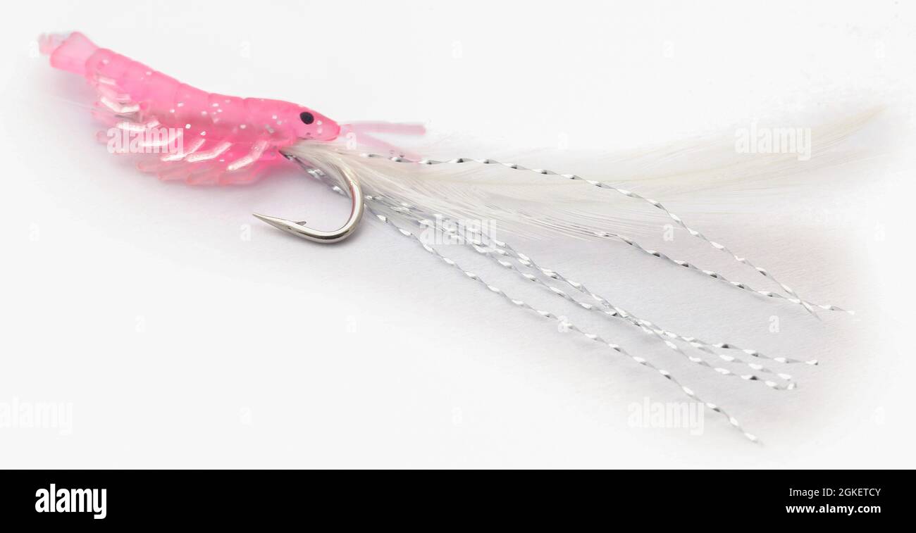 Shirm artificiel en crochet comme plate-forme de pêche en mer Banque D'Images