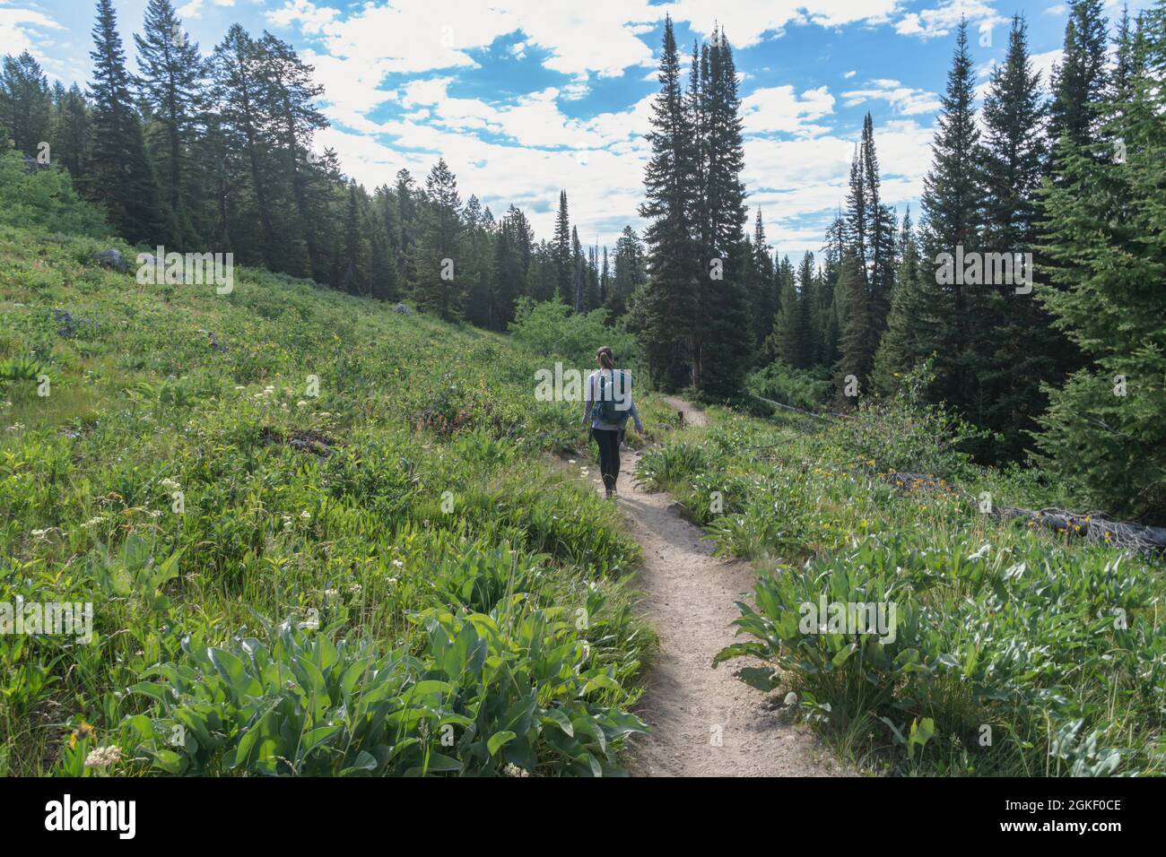 Une femme randonnée sur le sentier de Bradley et Taggert Lake dans le parc national de Grand Teton Banque D'Images