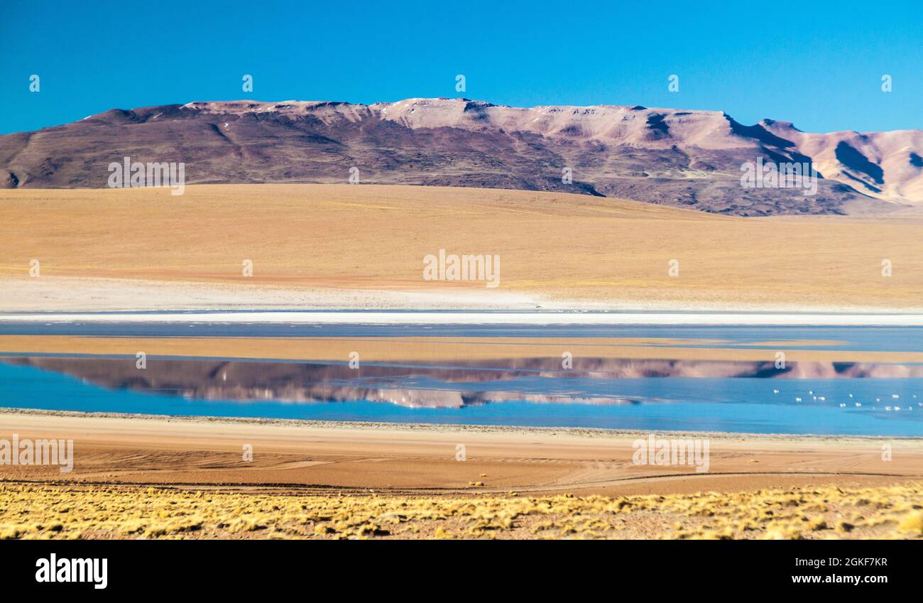 Lac de Laguna Collpa sur l'Altiplano bolivien Banque D'Images
