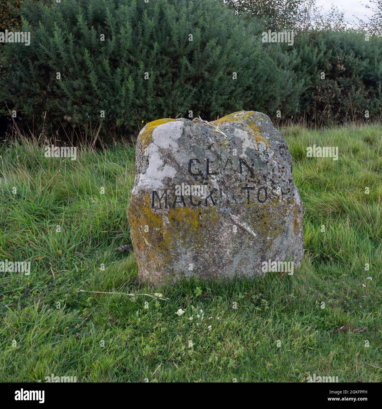 Champ de bataille de Culloden en Écosse. Pierre de tête isolée pour Clan Mackintosh avec fond d'herbe et d'autres verdure. Banque D'Images