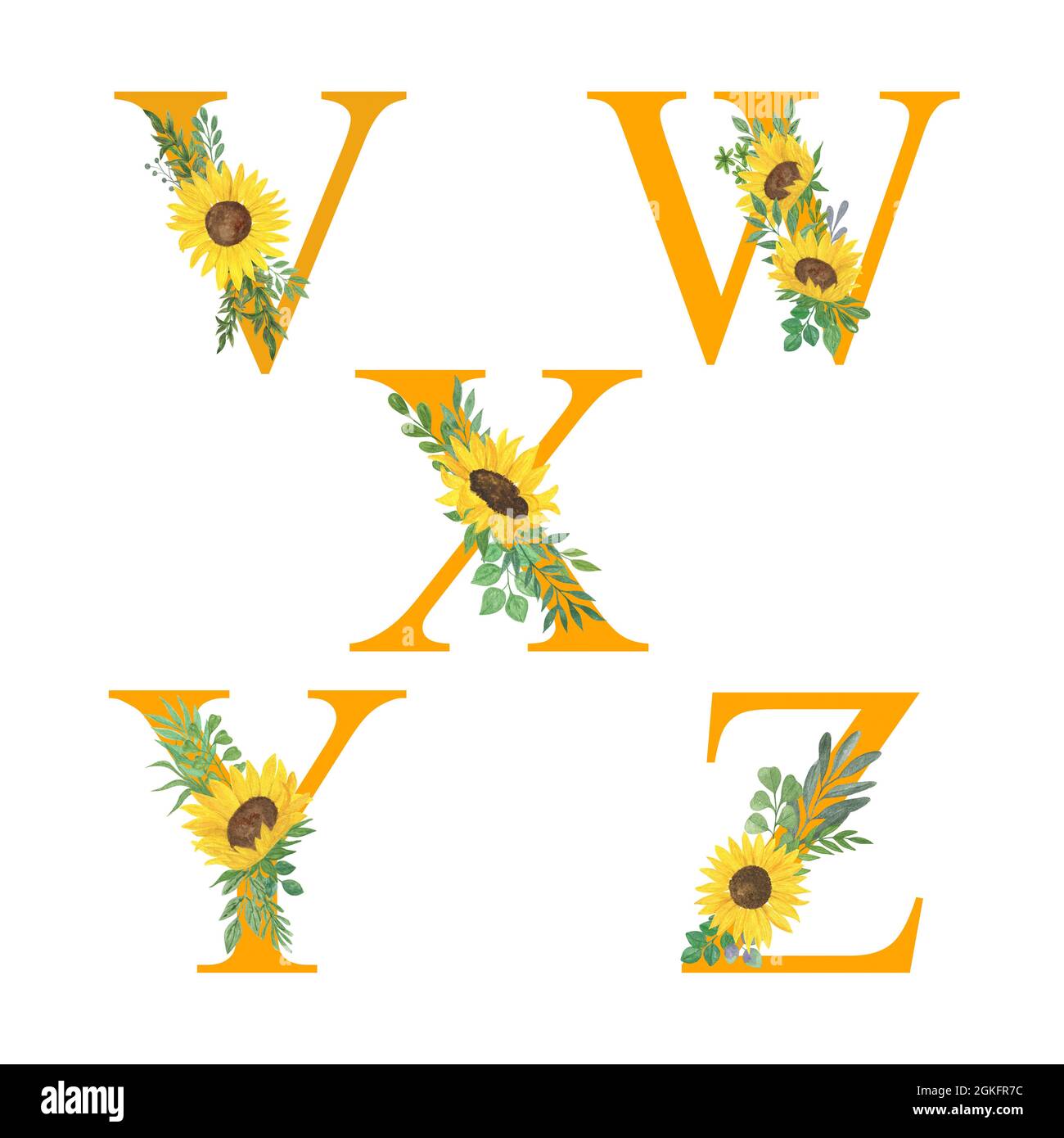 Tournesols 7 Lettres ABC, lettres de l'alphabet décorées avec des tournesols et des feuilles,  monogramme floral aquarelle illustration dans le style simple peint à la  main, fleurs d'été décoration lettrage Photo Stock - Alamy