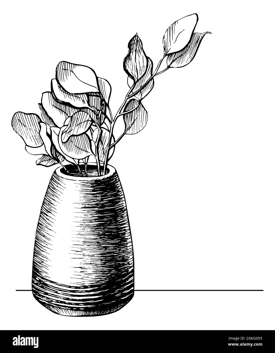 Fleur dans une ligne de pot dessin graphique carte postale. Branche d'arbre dans une illustration vectorielle de vase dessinée à la main. Esquisse de printemps nature d'une plante isolée sur fond blanc Illustration de Vecteur