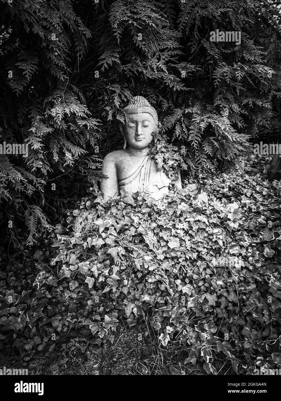 Petit Bouddha dans le jardin Banque D'Images