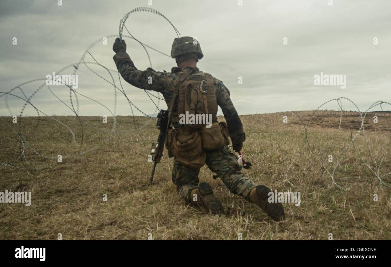 Une marine américaine avec 3d Battalion, 3d Marines, a franchi un obstacle de fil lors d'une répétition de combat pendant Fuji Viper 21.3 au centre d'entraînement d'armes combinées, Camp Fuji, Japon, le 17 avril 2021. Au cours de cet exercice, Marines a perfectionné des tactiques, des techniques et des procédures pour soutenir les opérations de base expéditionnaires avancées au niveau du peloton et de l'entreprise. 3/3 est déployé dans l'Indo-Pacifique sous 4th Marines, 3d Marine Division. Banque D'Images