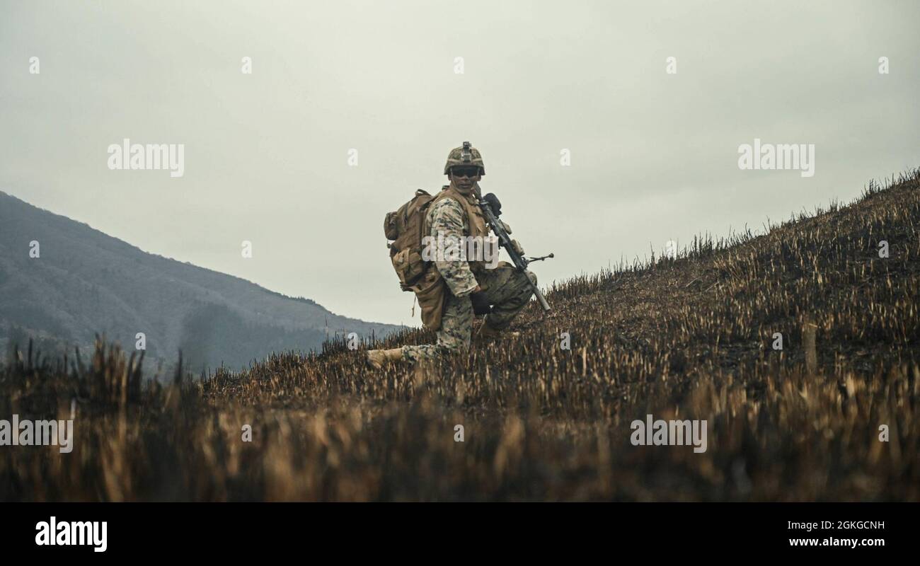 Une marine américaine avec 3d Bataillon, 3d Marines, regarde en arrière pour observer les signaux de main et de bras tout en effectuant une répétition de combat pendant Fuji Viper 21.3 au Centre d'entraînement d'armes combinées, Camp Fuji, Japon, 17 avril 2021. Au cours de cet exercice, Marines a perfectionné des tactiques, des techniques et des procédures pour soutenir les opérations de base expéditionnaires avancées au niveau du peloton et de l'entreprise. 3/3 est déployé dans l'Indo-Pacifique sous 4th Marines, 3d Marine Division. Banque D'Images