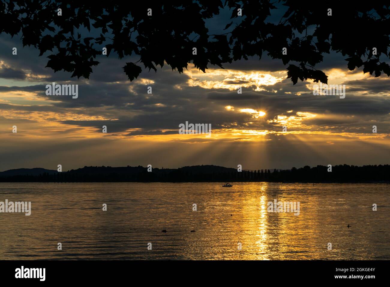 coucher de soleil doré avec spectaculaire ciel lac de constance Banque D'Images