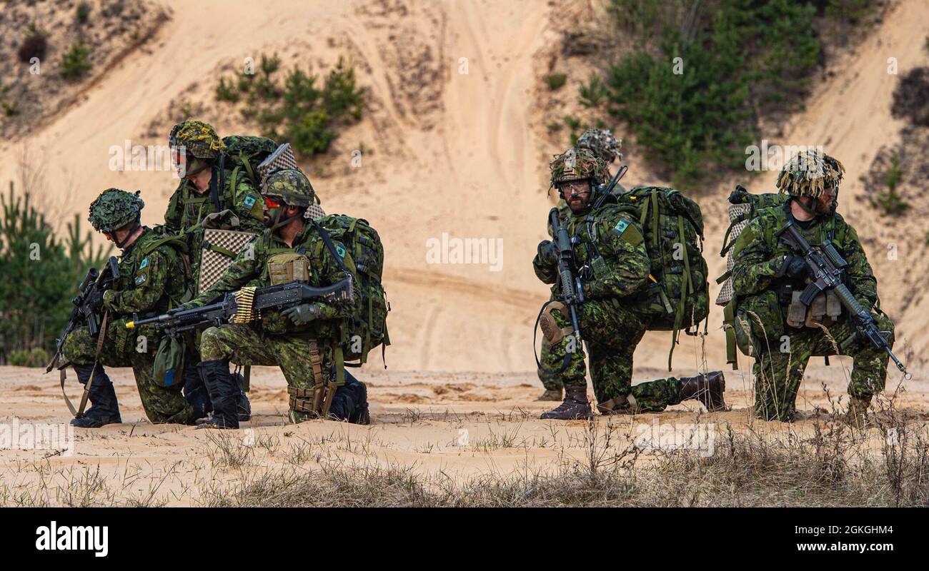 Les soldats des Forces terrestres canadiennes des Royal Canadian Dragoons, 2e Groupe-brigade mécanisé du Canada, établissent la sécurité au début de la matinée du 16 avril. L'unité était en cours d'exercice conjoint avec le 3e Bataillon, 1re Brigade d'aviation de combat, 1re Division d'infanterie, pour dégager la zone de l'ennemi dans la région montagneuse de la frontière boisée près de Lielvarde, Lettonie. Banque D'Images