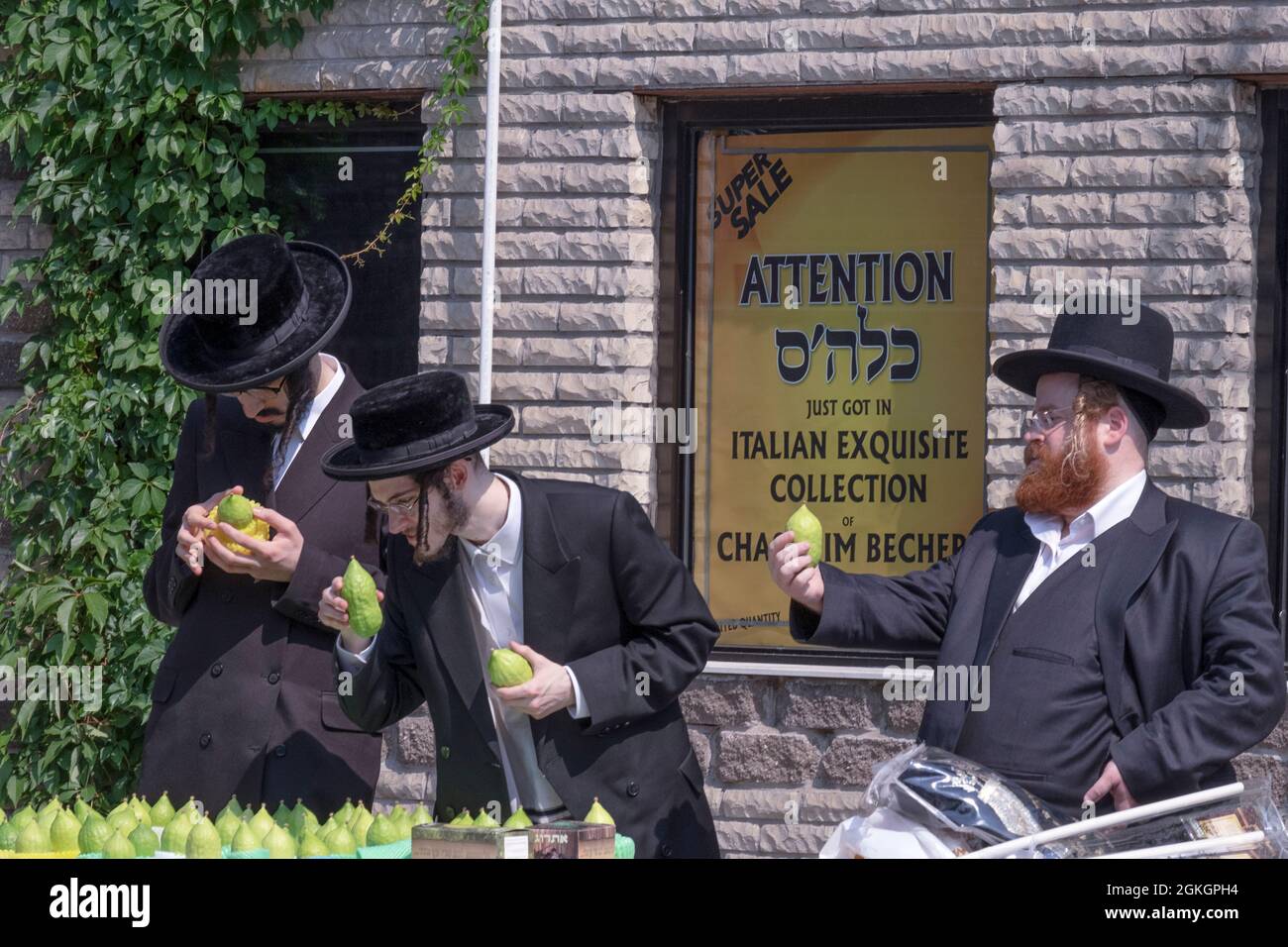 Les hommes juifs orthodoxes boutique pour un esrog à utiliser pour célébrer les vacances de Succos. Sur Lee Avenue à Williamsburg, Brooklyn, New York. Banque D'Images