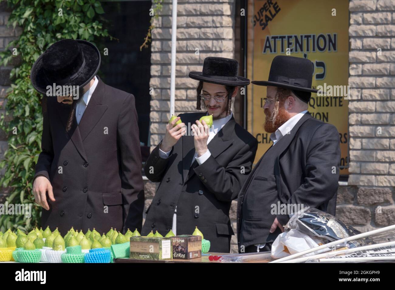 Les hommes juifs orthodoxes boutique pour un esrog à utiliser pour célébrer les vacances de Succos. Sur Lee Avenue à Williamsburg, Brooklyn, New York. Banque D'Images