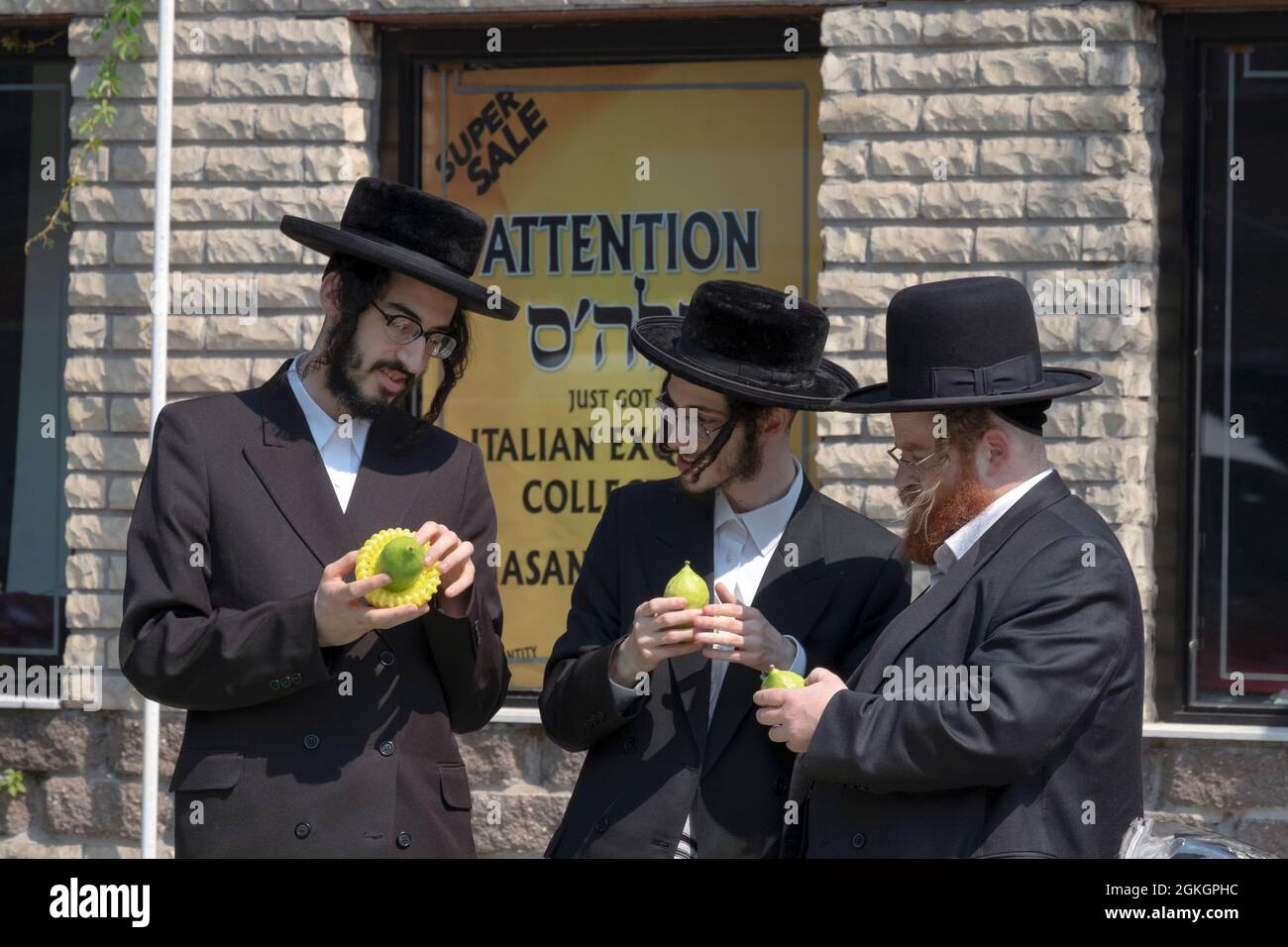 Les hommes juifs orthodoxes boutique pour un esrog à utiliser pour célébrer les vacances de Succos. Sur Lee Avenue à Williamsburg, Brooklyn, New York. Banque D'Images