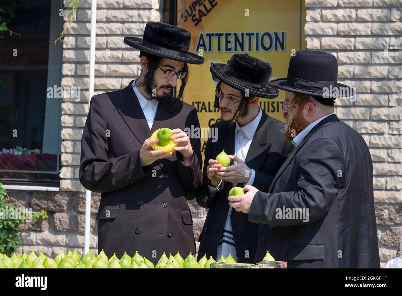 Les hommes juifs orthodoxes boutique pour un esrog à utiliser pour célébrer les vacances de Succos. Sur Lee Avenue à Williamsburg, Brooklyn, New York. Banque D'Images