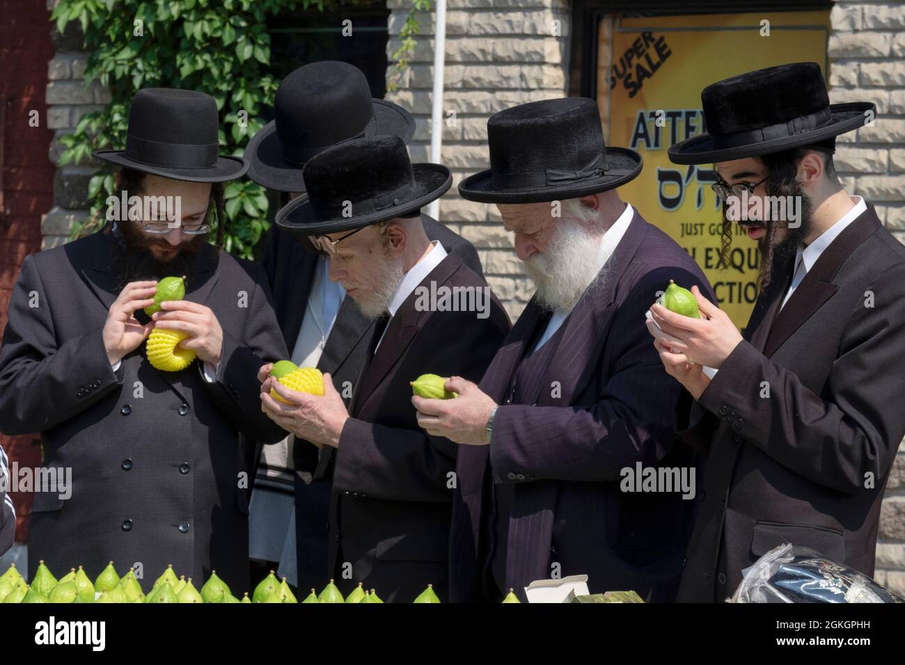 Un groupe d'hommes juifs orthodoxes inspectent les citrons à utiliser pour célébrer les fêtes de Soukkos. Sur Lee Avenue à Williamsburg, Brooklyn, New York. Banque D'Images