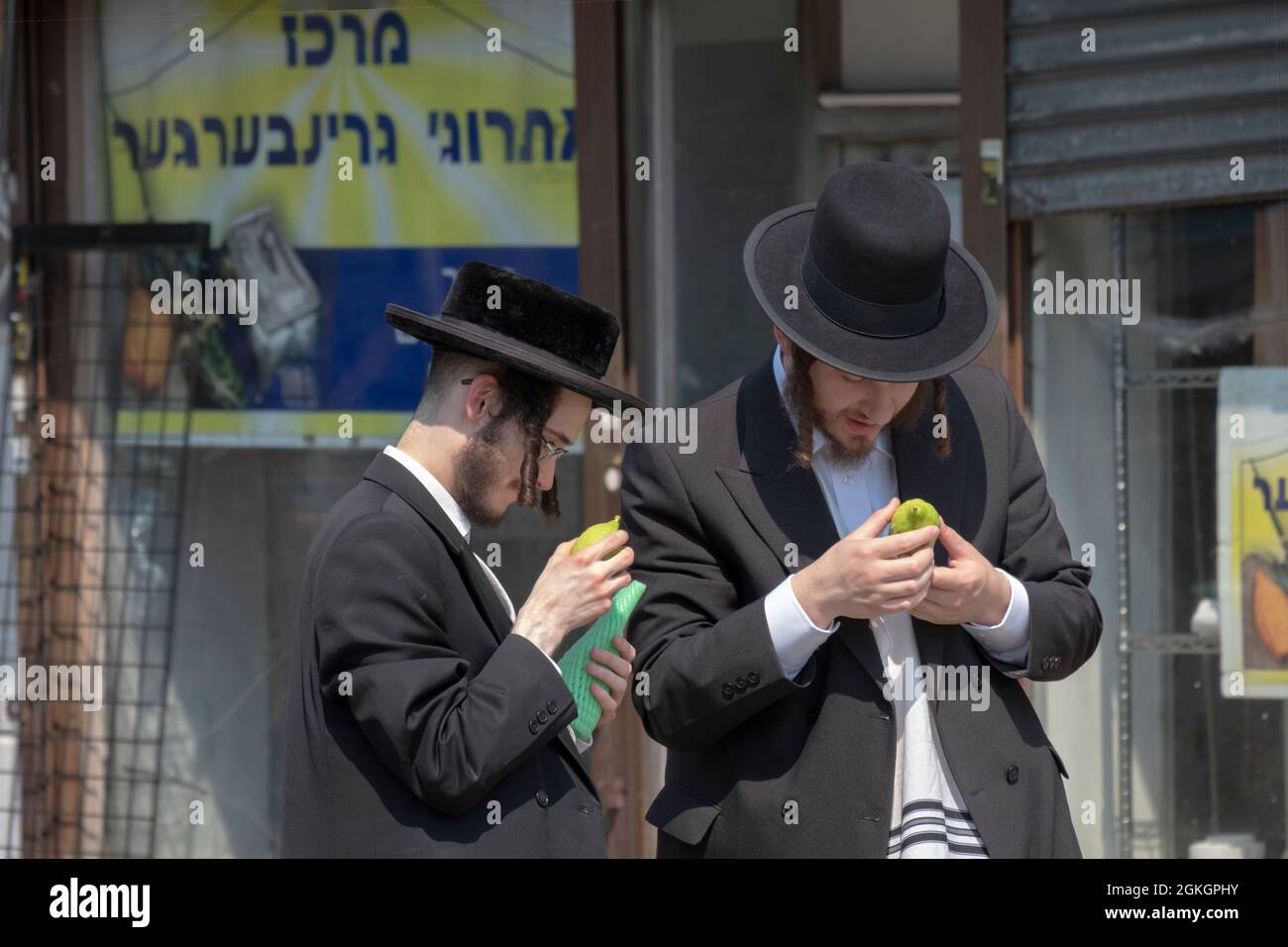 2 hommes juifs orthodoxes boutique pour un esrog à utiliser pour célébrer les vacances de Succos. Sur Lee Avenue à Williamsburg, Brooklyn, New York. Banque D'Images