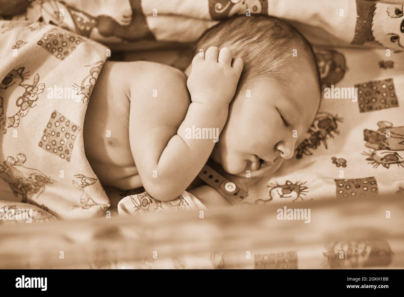 Un Nouveau Ne Avec Un Bracelet De Maternite Sur Son Bras Dort Dans Un Berceau Un Enfant Nouvellement Ne Dans Un Lit De Clinique Derriere Un Verre Transparent Photo Stock Alamy Un Nouveau Ne Avec Un Bracelet De Maternite Sur Son Bras Dort Dans Un Berceau Un Enfant Nouvellement Ne Dans Un Lit De Clinique Derriere Un Verre Transparent Photo Stock Alamy