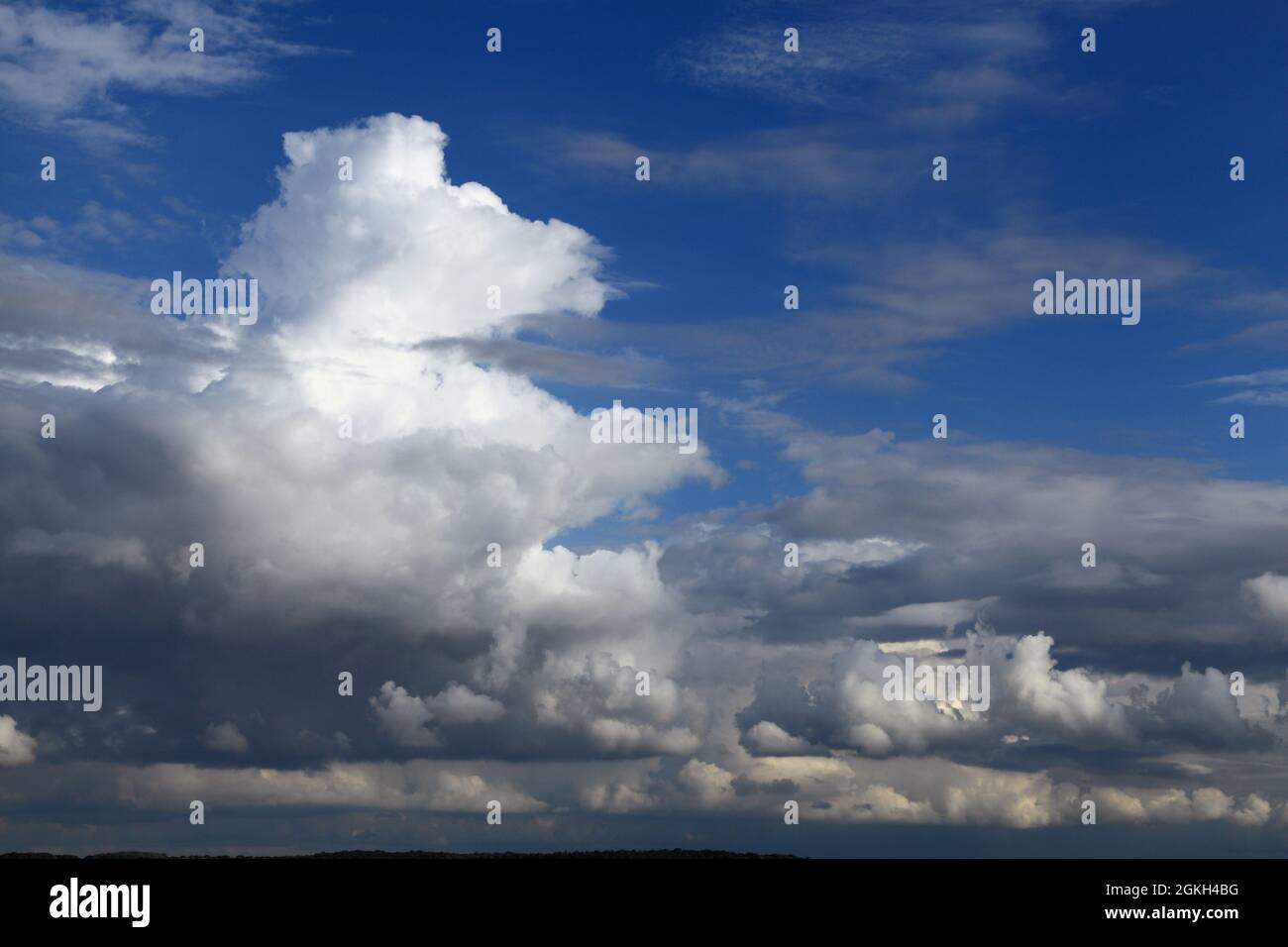 Cumulus nuages, ciel bleu, météorologie, temps, nuages, Ciel, Angleterre Banque D'Images