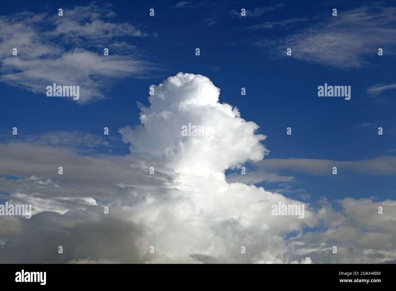 Cumulus nuages, ciel bleu, météorologie, temps, nuages, Ciel, Angleterre Banque D'Images