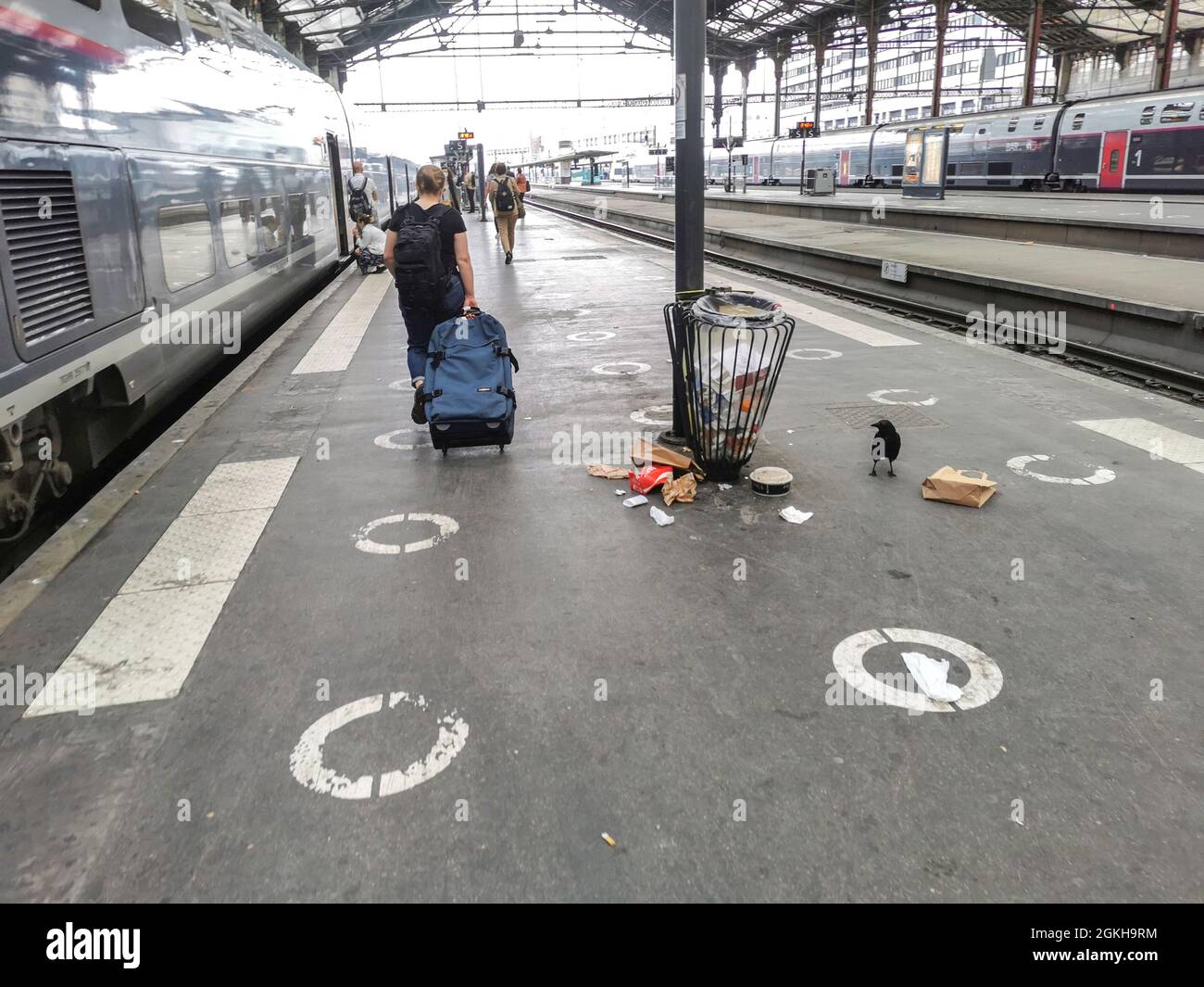 France, Paris, 2021-07-01. Une femme tire une valise seule sur la  plate-forme de la gare SNCF de Paris Lyon, en face d'un TGV et à côté d'une  poubelle Photo Stock - Alamy