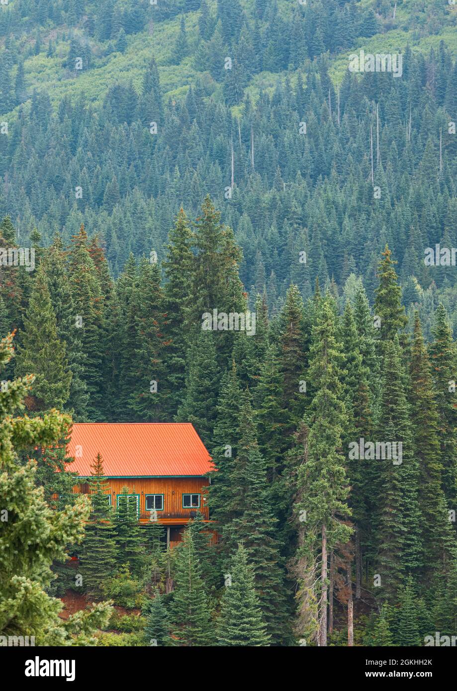 Maison en bois dans une forêt profonde à la montagne. Tôt le matin haut dans les montagnes avec la brume. Banque D'Images