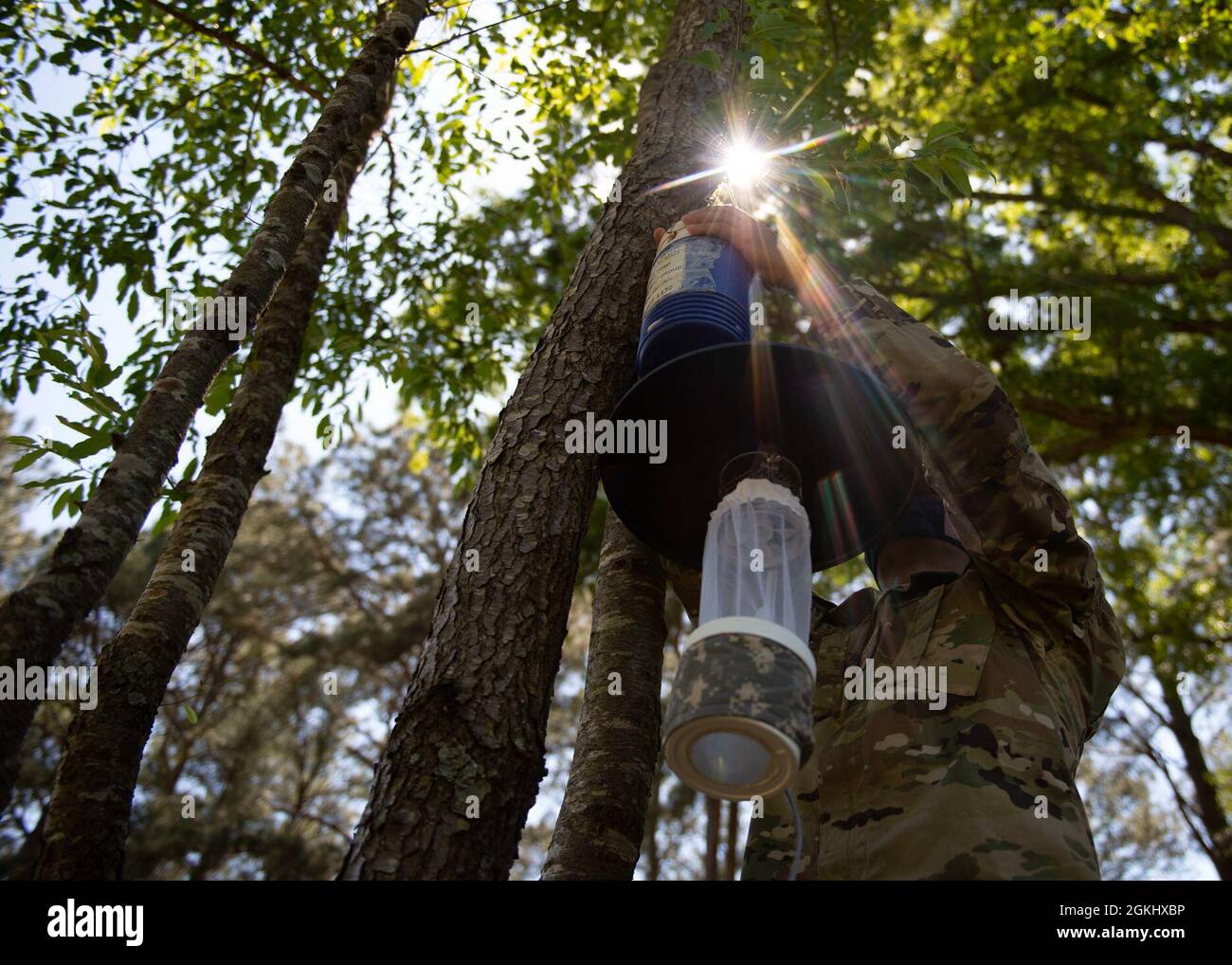 Airman de 1re classe Ziaire Buchanan, technicien en santé publique du 4e Escadron de préparation médicale opérationnelle, place une glacière de glace sèche dans un arbre au-dessus d'un piège à moustiques. À mesure que la glace sèche fond, elle se transforme en gaz carbonique, ce qui avertit les moustiques qu'un hôte potentiel se trouve à proximité. Banque D'Images