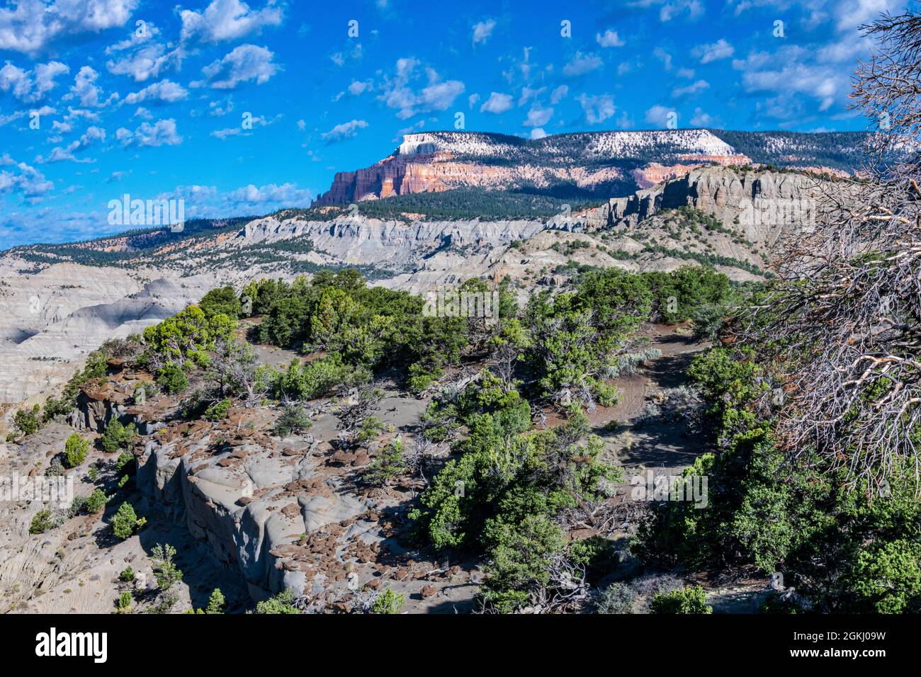 Vue sur le monument national du Grand escalier d'Escalante, nmear Escalante Utah Banque D'Images