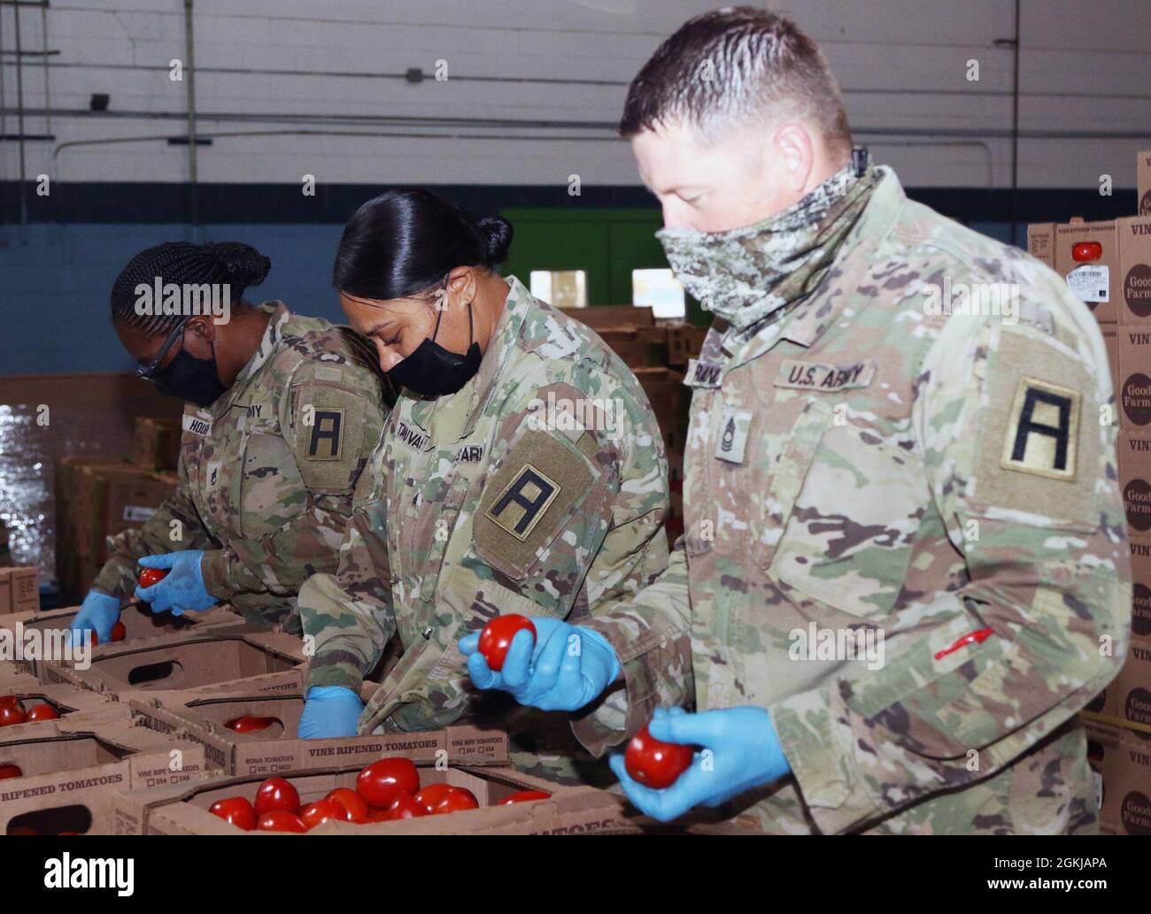 Les soldats affectés à la 5e Brigade blindée, première division de l'Armée de l'Ouest, observent les tomates pour séparer les bonnes des mauvaises lors d'un service communautaire avec la banque alimentaire El Pasoans Fighting Hunger Food Bank à El Paso, Texas, le 30 avril 2021. La brigade des sapeurs a soutenu la mission de la banque alimentaire, qui est de lutter contre la crise de la faim dans la ville en distribuant des aliments nutritifs par l'intermédiaire de partenaires communautaires. Le 5e AR BDE continue de collaborer avec les unités de la Garde nationale et de la Réserve dans toutes les branches militaires et des préparer à se déployer dans la voie du mal et à retourner à leurs familles par la suite. Banque D'Images