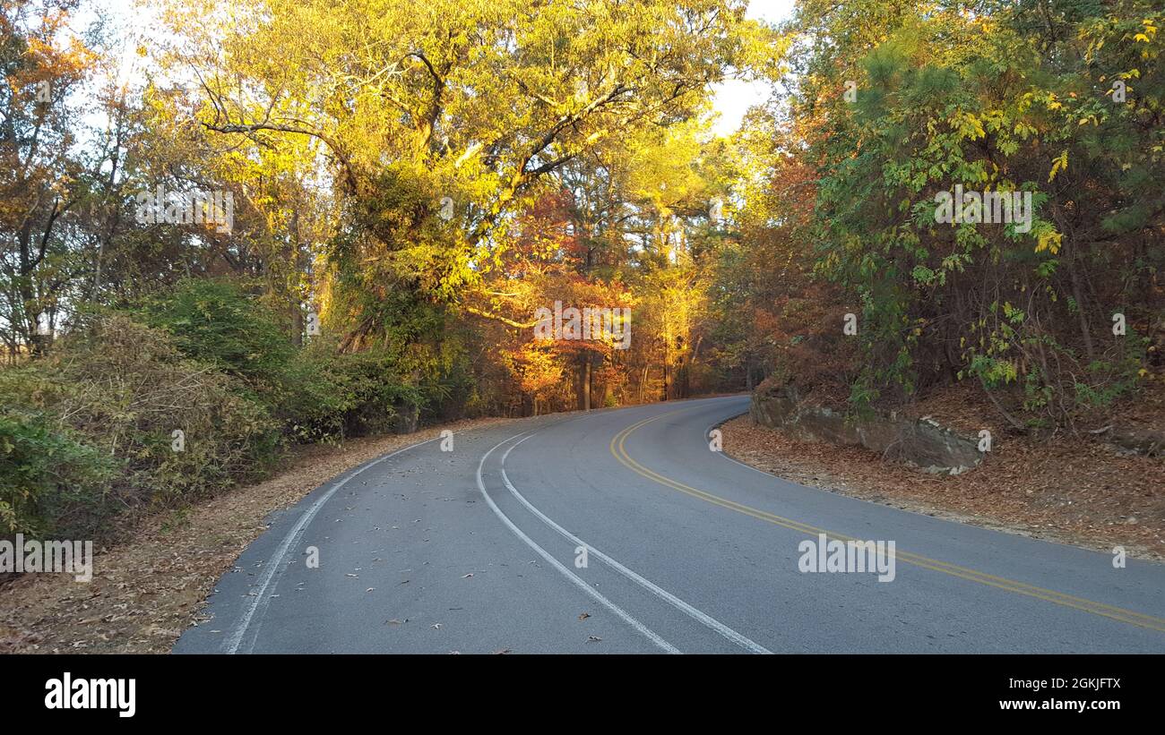 Une route à travers une forêt d'automne Banque D'Images