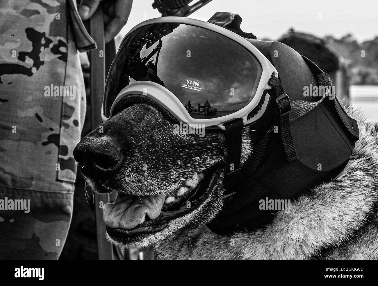 Un chien de travail militaire attaché à la 4e Escadre de chasseurs, la base aérienne Seymour Johnson, attend avec son maître de train lors de l'expérience Agile Flag à Naval Outlating Landing Field Choctaw, Floride, le 3 mai 2021. Le Commandement de combat aérien a développé l'expérience AGILE FLAG 21-2 pour créer une aile de tête, alignant des escadrons de différents endroits sous un seul commandant, améliorant leur état de préparation en tant qu'équipe avant de se déployer dans un environnement contesté. Banque D'Images Un chien de travail militaire attaché à la 4e Escadre de chasseurs, la base aérienne Seymour Johnson, attend avec son maître de train lors de l'expérience Agile Flag à Naval Outlating Landing Field Choctaw, Floride, le 3 mai 2021. Le Commandement de combat aérien a développé l'expérience AGILE FLAG 21-2 pour créer une aile de tête, alignant des escadrons de différents endroits sous un seul commandant, améliorant leur état de préparation en tant qu'équipe avant de se déployer dans un environnement contesté. Banque D'Images