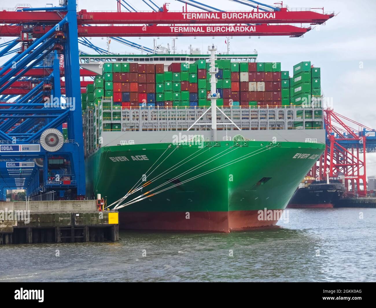 Evergreen - le plus grand navire à conteneurs du monde dans le port de Hambourg Banque D'Images