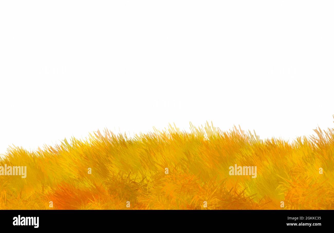 Illustration peinture numérique de l'herbe sauvage en automne, couleur jaune, rouge et orange, espace blanc pour la copie et le design, peinture numérique à l'huile. Banque D'Images