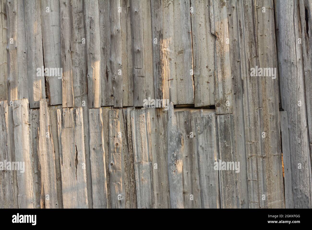 Arrière-plan en bois.une vieille clôture en bois faite de panneaux non peints avec des fissures et des clous Banque D'Images