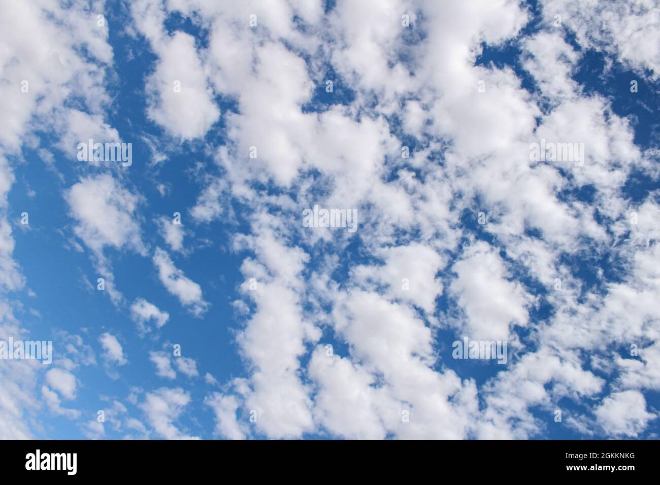 Nuage : Altocumulus floccus - une image du nuage d'Altocumulus floccus sur le ciel pris pendant le voyage de route de Lightning Ridge Banque D'Images