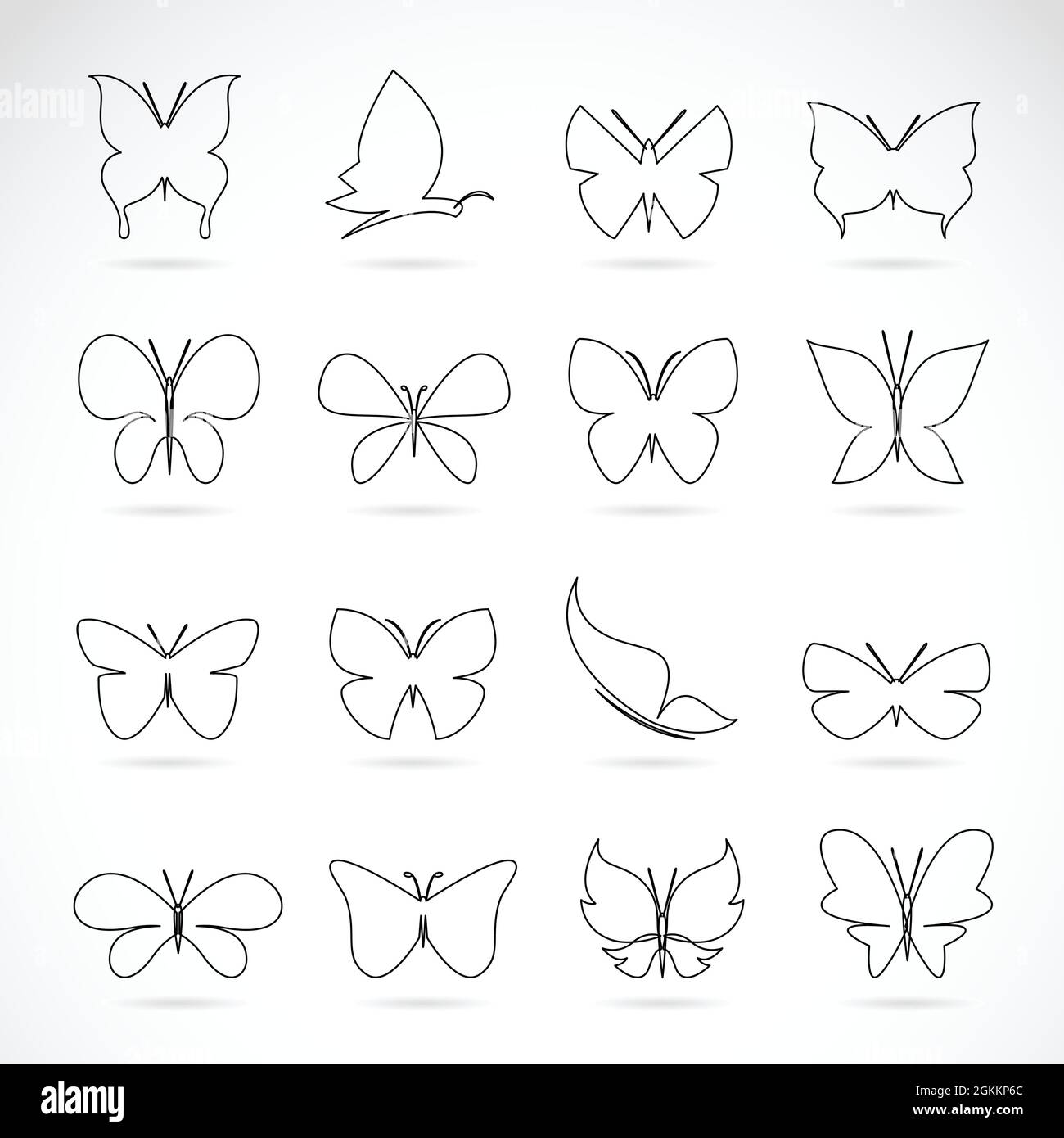 Groupe vectoriel de papillon sur fond blanc. Illustration de Vecteur