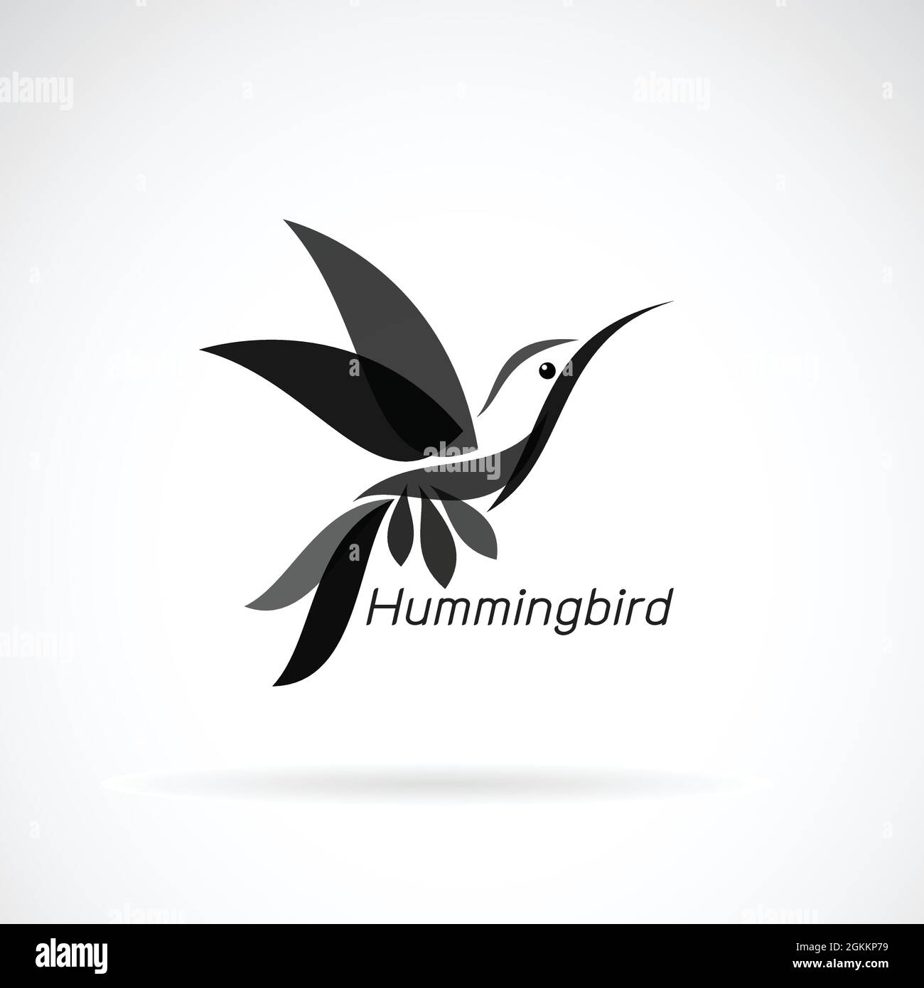 Vecteur de dessin d'oiseau-mouches sur fond blanc., animaux sauvages. Oiseaux., illustration vectorielle superposée facile à modifier. Illustration de Vecteur