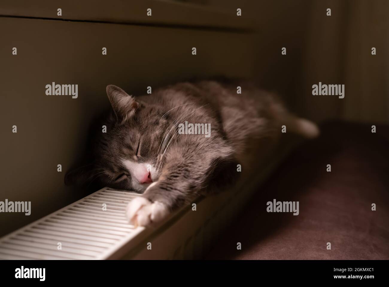 Chauffage Chaud Banque De Photographies Et D Images A Haute Resolution Alamy