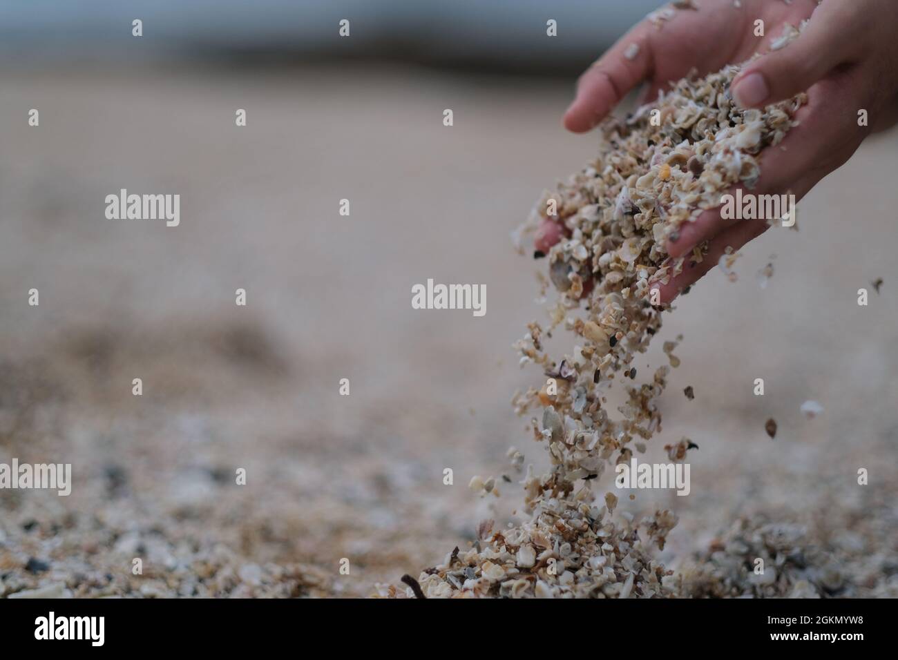 Le sable et les petites coquillages étant saisis et libérés par les mains des femmes Banque D'Images