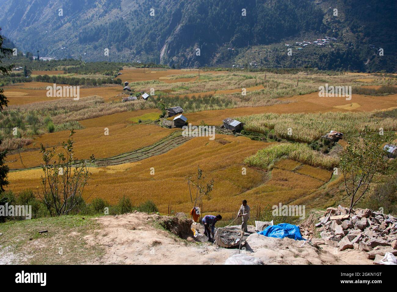 Village de Manali et paysage de la région, Kullu Valley Himachal Pradesh, Inde Banque D'Images