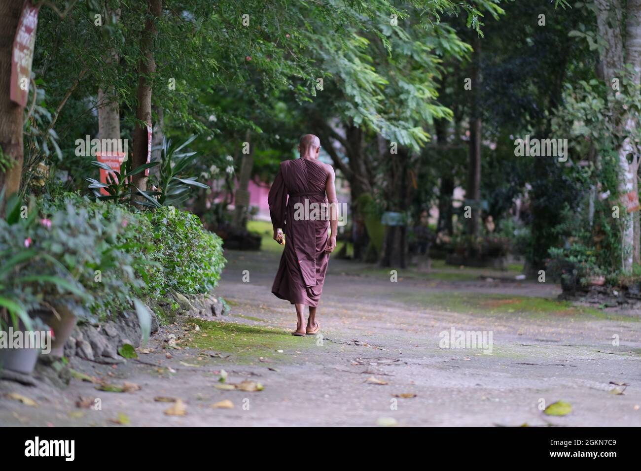 Le disciple bouddhiste marche dans le jardin tropical Banque D'Images