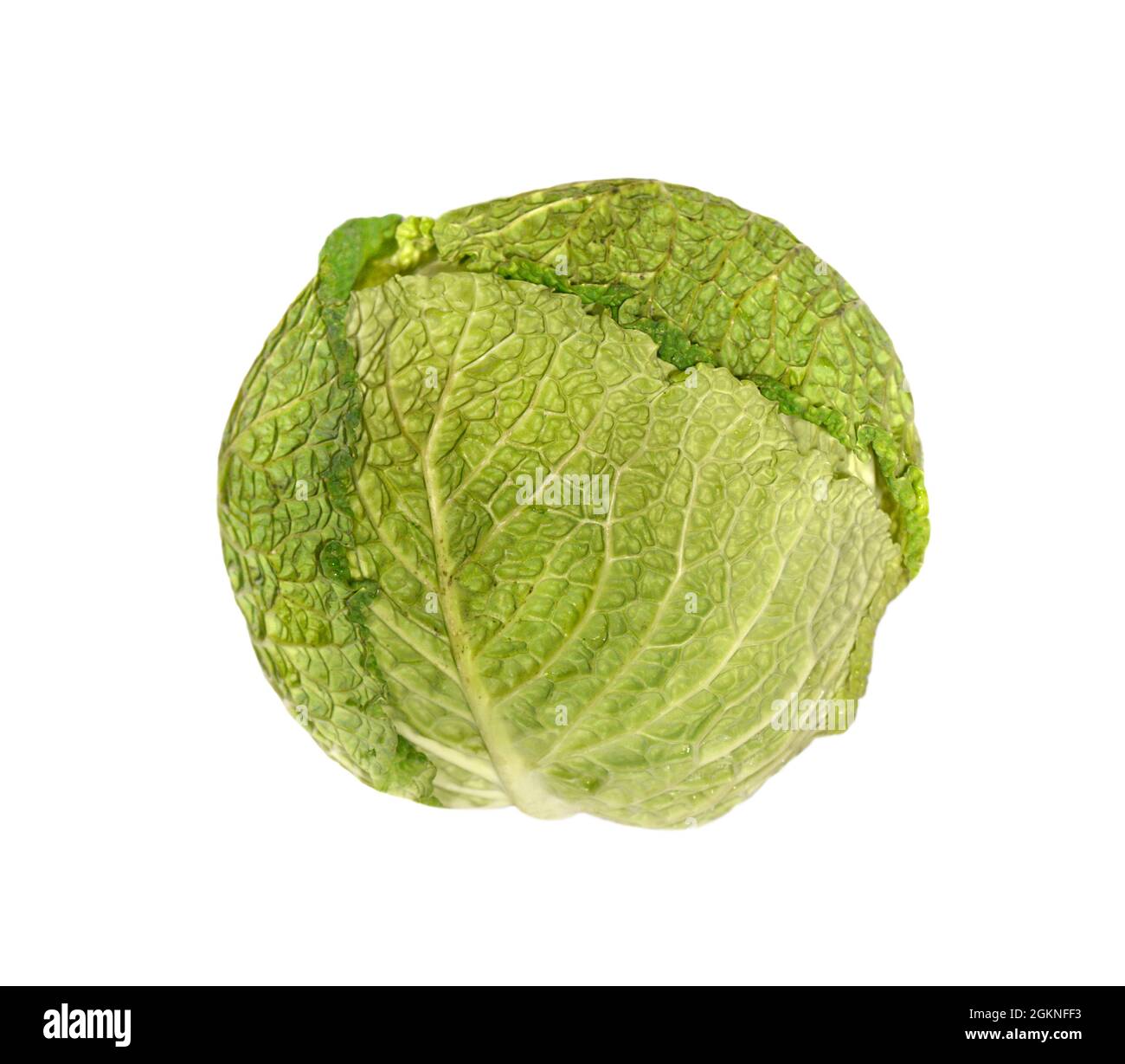 Chou - Brassica oleracea Banque D'Images