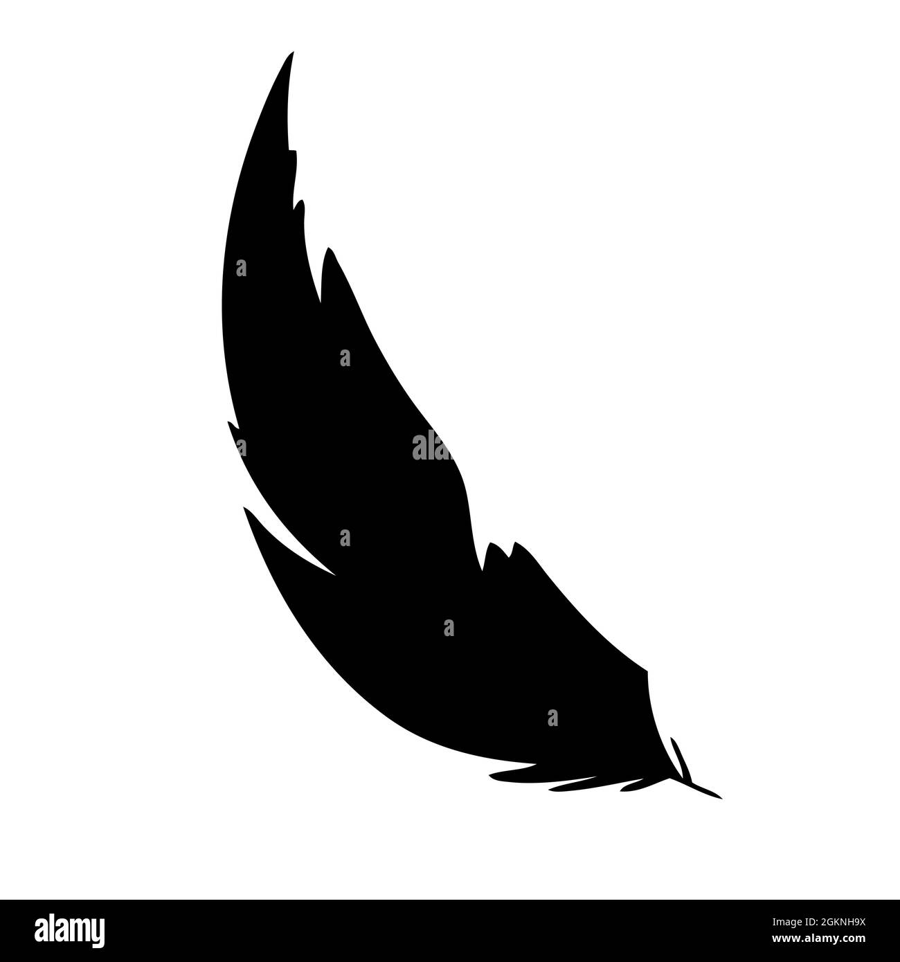 Plume d'oiseaux. Silhouette en plumes noires pour ensemble de logos vectoriels Illustration de Vecteur